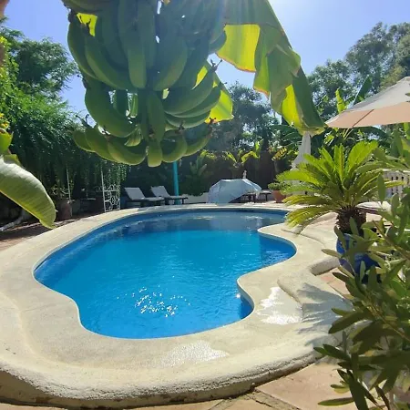 Piscine - Excellent Quartier Vila Marbella